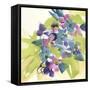 Spring Bouquet I-Chris Paschke-Framed Stretched Canvas