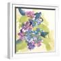 Spring Bouquet II-Chris Paschke-Framed Art Print