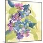 Spring Bouquet II-Chris Paschke-Mounted Art Print