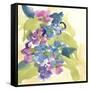 Spring Bouquet II-Chris Paschke-Framed Stretched Canvas