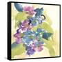 Spring Bouquet II-Chris Paschke-Framed Stretched Canvas