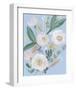 Spring Bouquet on Blue II-Jennifer Goldberger-Framed Art Print