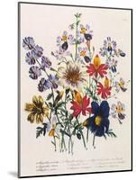 Spring Bouquet-Jane W. Loudon-Mounted Giclee Print