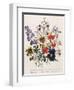 Spring Bouquet-Jane W. Loudon-Framed Giclee Print