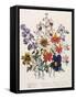 Spring Bouquet-Jane W. Loudon-Framed Stretched Canvas