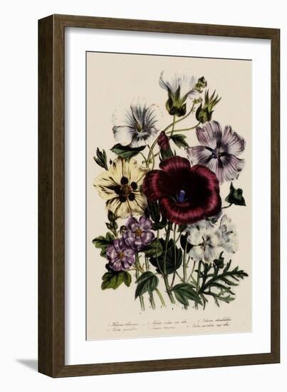 Spring Bouquet-Jane W. Loudon-Framed Giclee Print