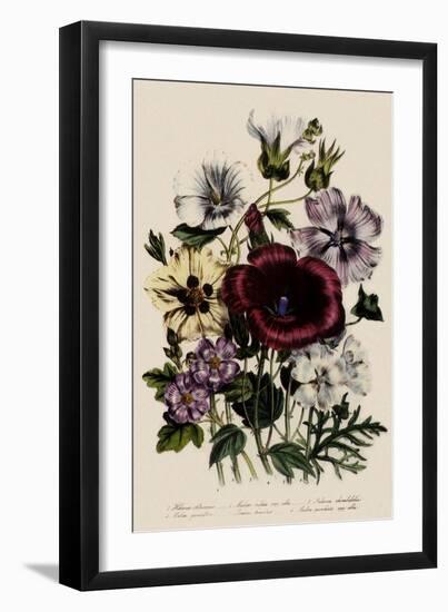 Spring Bouquet-Jane W. Loudon-Framed Giclee Print