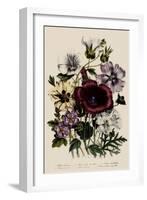 Spring Bouquet-Jane W. Loudon-Framed Giclee Print