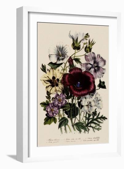 Spring Bouquet-Jane W. Loudon-Framed Giclee Print