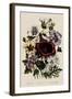 Spring Bouquet-Jane W. Loudon-Framed Giclee Print