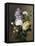 Spring Bouquet-Virginie De Sartorius-Framed Stretched Canvas