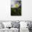 Spring breeze-Heidi Westum-Photographic Print displayed on a wall