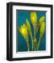 Spring Buds yellow Blue Daffodils-null-Framed Art Print