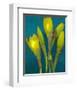 Spring Buds yellow Blue Daffodils-null-Framed Art Print