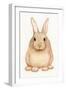 Spring Bunny I White-Kathleen Parr McKenna-Framed Art Print