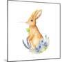 Spring Bunny I-Andi Metz-Mounted Art Print