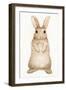 Spring Bunny II White-Kathleen Parr McKenna-Framed Art Print
