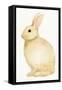 Spring Bunny III White-Kathleen Parr McKenna-Framed Stretched Canvas