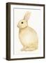 Spring Bunny III White-Kathleen Parr McKenna-Framed Art Print