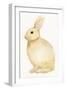 Spring Bunny III White-Kathleen Parr McKenna-Framed Art Print