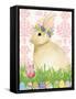 Spring Bunny III-Kathleen Parr McKenna-Framed Stretched Canvas