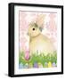 Spring Bunny III-Kathleen Parr McKenna-Framed Art Print