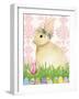 Spring Bunny III-Kathleen Parr McKenna-Framed Art Print