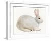 Spring Bunny IV White-Kathleen Parr McKenna-Framed Art Print