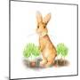 Spring Bunny IV-Andi Metz-Mounted Premium Giclee Print