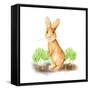 Spring Bunny IV-Andi Metz-Framed Stretched Canvas