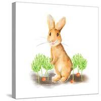 Spring Bunny IV-Andi Metz-Stretched Canvas