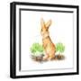 Spring Bunny IV-Andi Metz-Framed Art Print