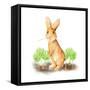 Spring Bunny IV-Andi Metz-Framed Stretched Canvas