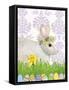 Spring Bunny IV-Kathleen Parr McKenna-Framed Stretched Canvas