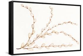 Spring Bunny Pussy Willow-Kathleen Parr McKenna-Framed Stretched Canvas