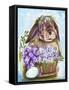 Spring Bunny-Sheena Pike Art And Illustration-Framed Stretched Canvas