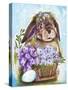 Spring Bunny-Sheena Pike Art And Illustration-Stretched Canvas