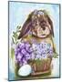 Spring Bunny-Sheena Pike Art And Illustration-Mounted Giclee Print