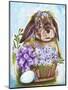 Spring Bunny-Sheena Pike Art And Illustration-Mounted Giclee Print