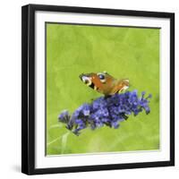 Spring Butterfly-Viviane Fedieu Daniel-Framed Photographic Print