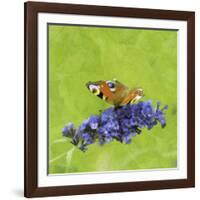 Spring Butterfly-Viviane Fedieu Daniel-Framed Photographic Print