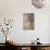 Spring, C1910-Odilon Redon-Giclee Print displayed on a wall