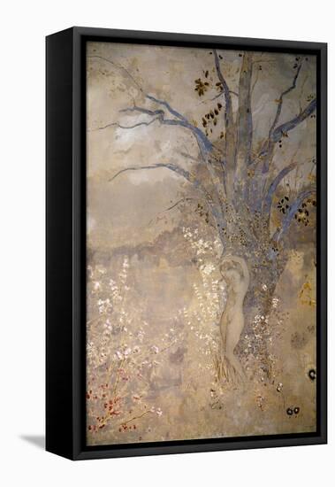 Spring, C1910-Odilon Redon-Framed Stretched Canvas