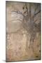 Spring, C1910-Odilon Redon-Mounted Giclee Print