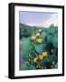 Spring Cacti No. 2-Sonja Quintero-Framed Photographic Print