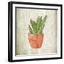 Spring Cactus 1-Kimberly Allen-Framed Art Print