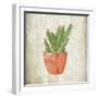 Spring Cactus 1-Kimberly Allen-Framed Art Print