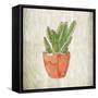 Spring Cactus 1-Kimberly Allen-Framed Stretched Canvas