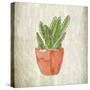 Spring Cactus 1-Kimberly Allen-Stretched Canvas