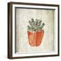 Spring Cactus 2-Kimberly Allen-Framed Art Print